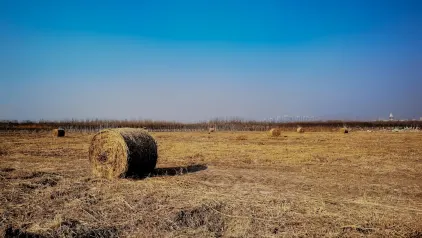 Γουινζινεητορ Καζίνο Κινητη εφαρμογη